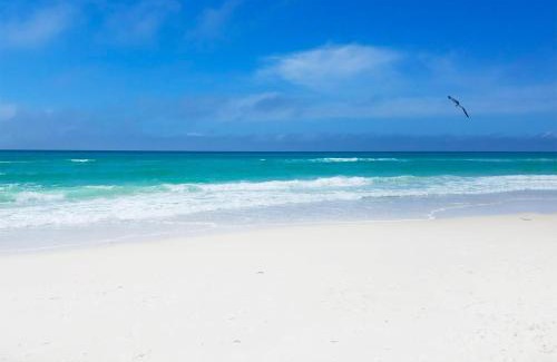 Panama City Beach House | Blue Mermaid