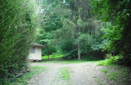 Front Royal Cabin | Blue Mountain Cabin, secluded, perfect for couples, near main road