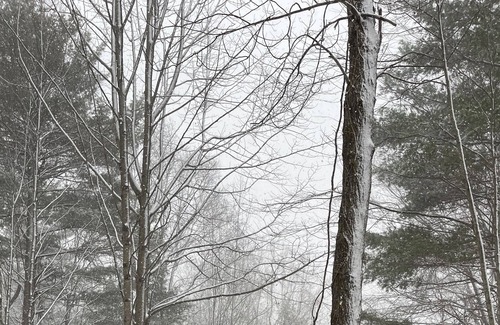 Fancy Gap Cabin | Blue Ridge Cabin Hideaway