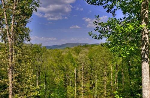 Dial House | Blue Ridge Hideaway 5 Acres in Aska Adventure Area