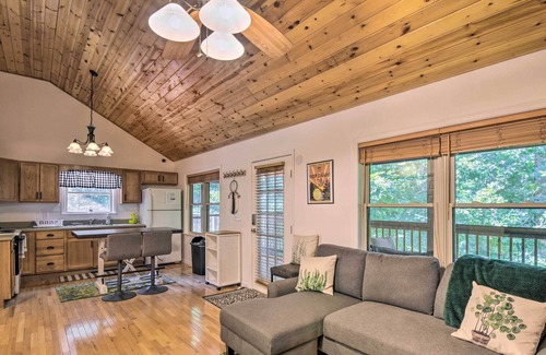 Unaka Cabin | Blue Ridge Mtn Hideaway w/ Fire Pit, Grill!