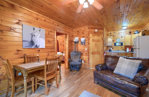 Logan Cabin | Blue Rose Cabins - Pine Ridge Cabin