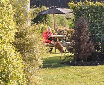 Te Anau House | Blue Thistle Cottages
