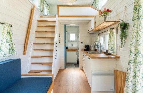 Zeewolde Ski Chalet | Blue Tiny House with HotTub