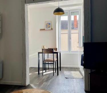 Vierzon Apartment | Blue Vervet - T2 avec parking