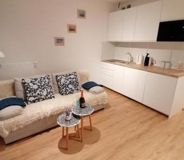 Sarbinowo Apartment | Blue Zet Apartament