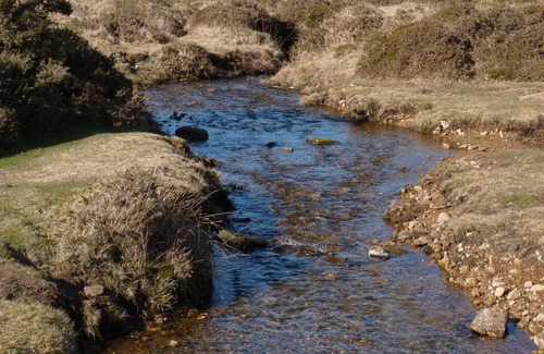 Tavistock Cottage | BLUEBELL COTTAGE, pet friendly, with open fire in Tavistock