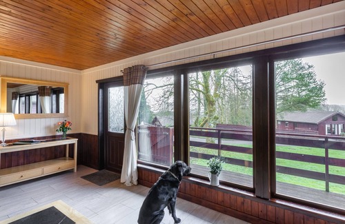 Newton Stewart House | Bluebell Lodge 4 with Hot Tub