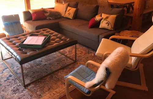 Taos House | Bluebird Adobe! 3 BR 2BA enchanting home near Taos