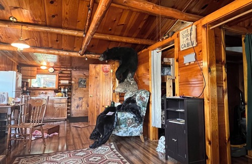 Harrison Cabin | Bluegill Lake front, Up North, cozy peaceful getaway. 2-bedroom cabin. Rustic.