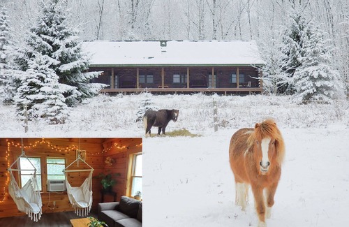 Owego House | Bluestone At Entangled Acres - Log Cabin wWiFi on 16 Acre Animal Sanctuary