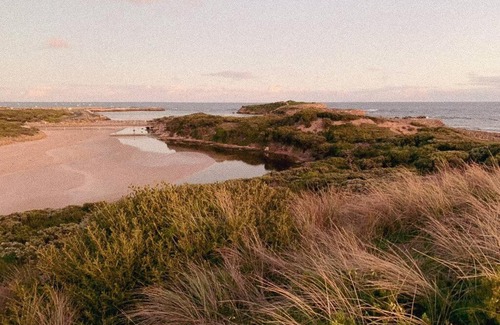 Warrnambool House | Bluey