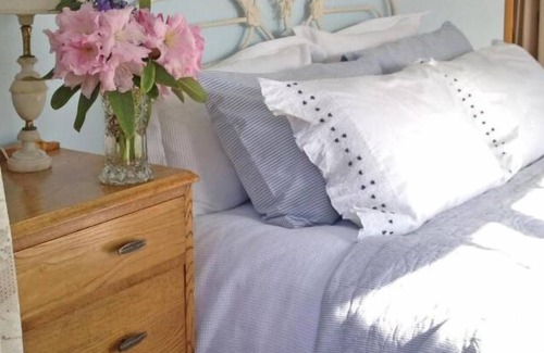 Akaroa Hotel | Blythcliffe