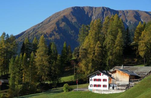 Davos Apartment | BnB Guesthouse Lusi