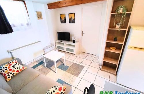 Plaisance-du-Touch Apartment | ► BNB TOULOUSE ► Le Plaisant Maubec WiFi 24/7