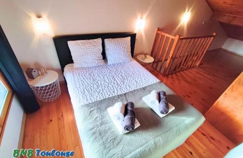 Plaisance-du-Touch Apartment | ► BNB TOULOUSE ► Le Plaisant Maubec WiFi 24/7
