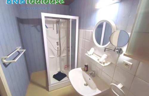 Balma Apartment | ► BNB TOULOUSE ► Le Charmant Balmanais Clim Garage 24/7
