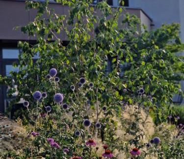 Steinen Apartment | Boardinghouse Steinen