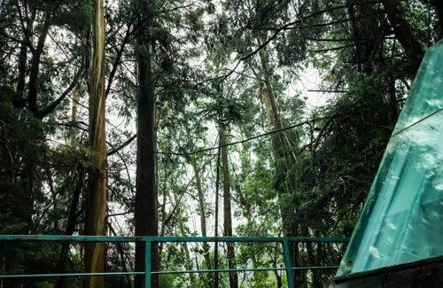 Pudumund Resort | BOB'S WOODSIDE BUNGALOW