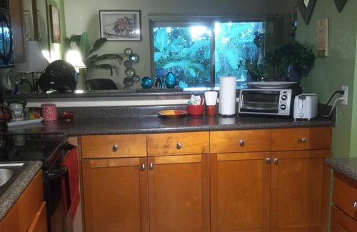 Gainesville Condo | Bobby Cat's condo, shared with owner, in forest setting w/creek, 1.5 mi. to UF!