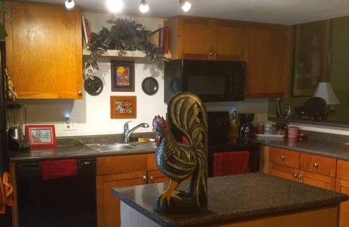 Gainesville Condo | Bobby Cat's condo, shared with owner, in forest setting w/creek, 1.5 mi. to UF!