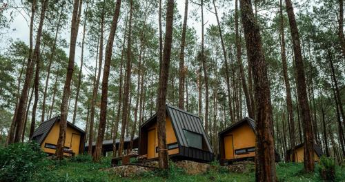 Cikole Resort | Bobocabin Cikole, Bandung