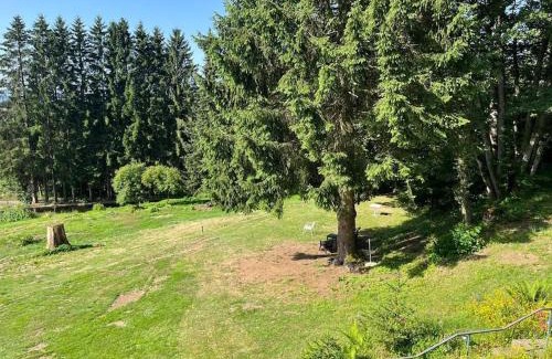 Rickenbach House | Bodea Alpenblick