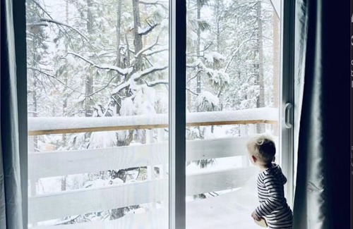 Big Bear City House | Bodhi Bear Cabin - with dedicated yoga room!