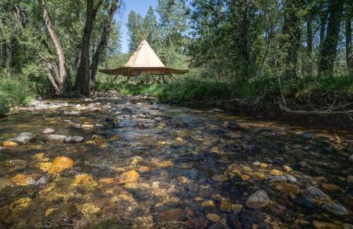 Bozeman Other | Bodhi Farms