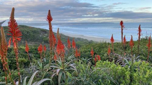 Boggoms Bay House | Boggoms' View
