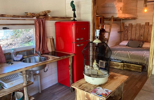 Bar-sur-Aube House | Bohemian Robinson's dream