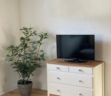 Singen Apartment | Bohlinger FeWo und Bike Verleih