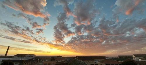 Lambert's Bay Hotel | Bokkomblommetjie