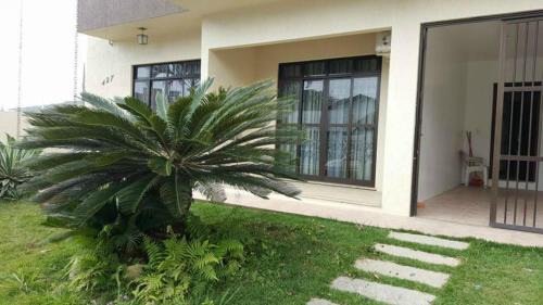 Centro Apartment | Bombinhas Brasil Residence II Guest House no Centro