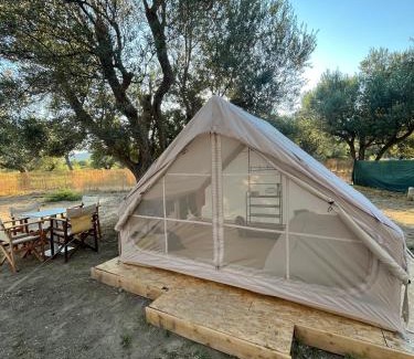 Qeparo Other | Bonaparte camp