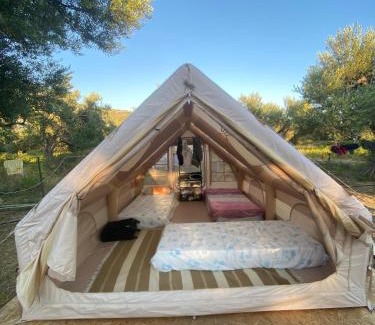 Qeparo Other | Bonaparte camp