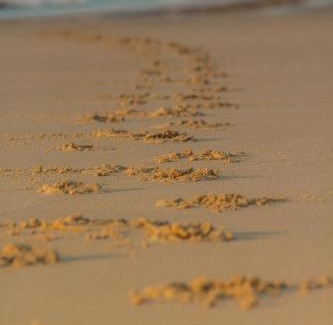 Saint Francis Bay House | BonBini Guest House