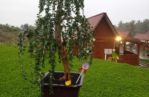 Banyuwangi House | Bonsai Guesthouse Banyuwangi