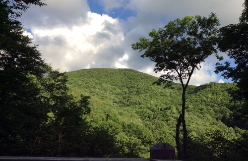 Zionville Cabin | Bonus with Booking - Hot Tub - Mountain View Sleeps 6 - Dog/Pet Friendly -