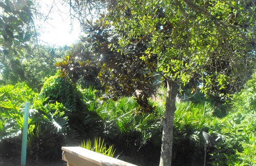 Vilano Beach House | BOOK NOW! FALL DISCOUNT: St. Augustine Townhouse for 2 nr Beach, Non-smoking