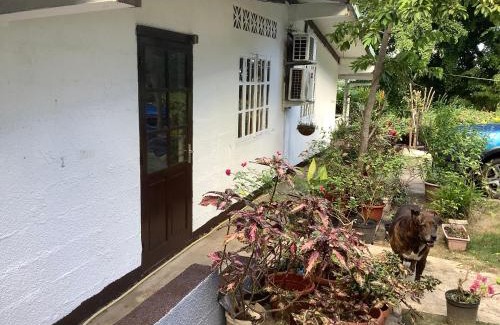 Nunue House | Bora Red Hibiscus Lodge