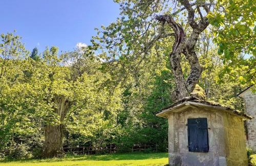 Porretta Terme House | Borgo Castelluccio Country House