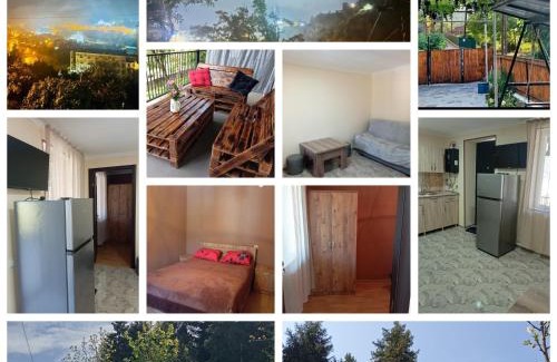 Akhali Ubani House | Borjomi forest
