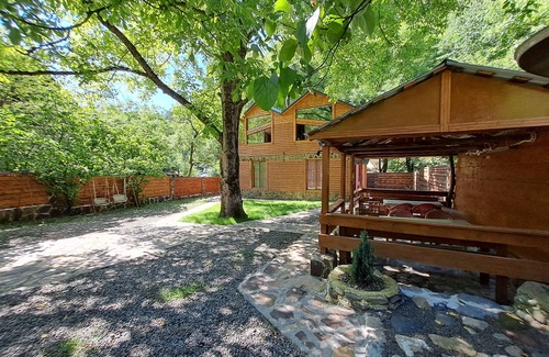 Likani Villa | Borjomi in likani. National park of borjom kharagauli. Mountain forest hiking