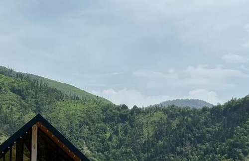 Likani Ski Chalet | Borjomi inn Cottages