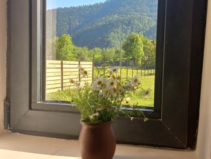 Likani Ski Chalet | Borjomi inn Cottages
