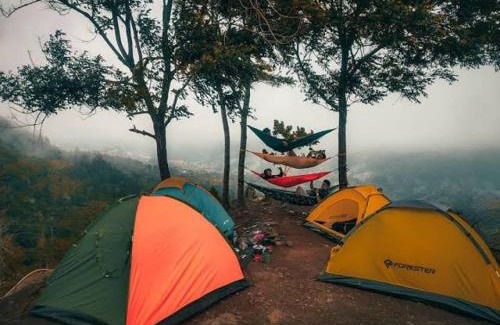 Samarinda Other | Borneo camp