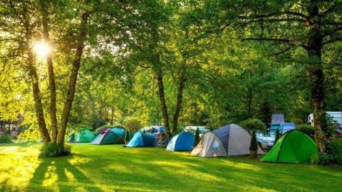Samarinda Other | Borneo camp