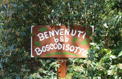 Rapolano Terme Bed & Breakfast | Boscodisotto