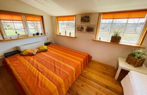 Siofok-Sosto Villa | Botanica Vendégház - Finnish Sauna